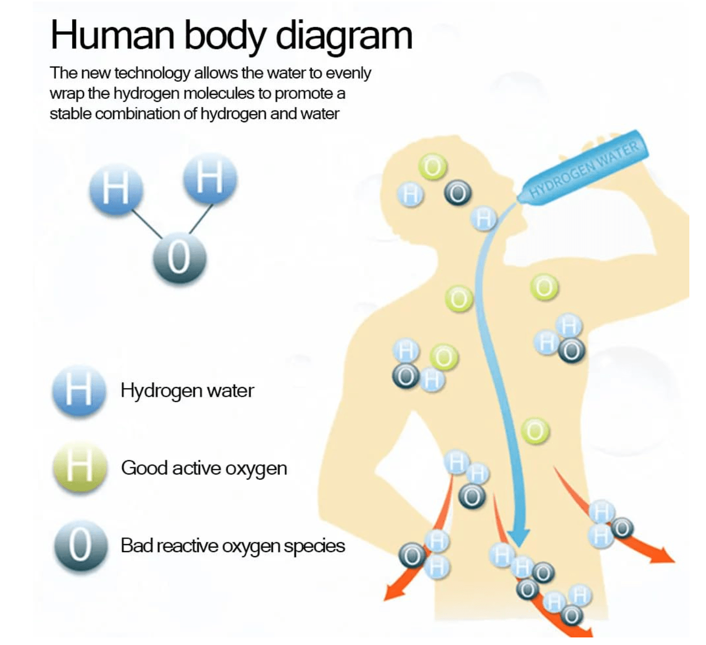 THE HYDROGEN WATER BOTTLE - BeautifyFit